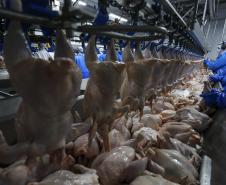 Mesmo com pandemia, indústria alimentícia paranaense cresce 9,4% no ano