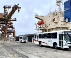 São 155 ônibus em uma única operação. Veículos de transporte coletivo serão levados para os portos de Boma, no Congo, e Luanda, em Angola. A operação é feita no cais público, pela empresa Marcon. 