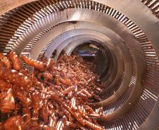 Mesmo com pandemia, indústria alimentícia paranaense cresce 9,4% no ano
