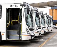 São 155 ônibus em uma única operação. Veículos de transporte coletivo serão levados para os portos de Boma, no Congo, e Luanda, em Angola. A operação é feita no cais público, pela empresa Marcon. 