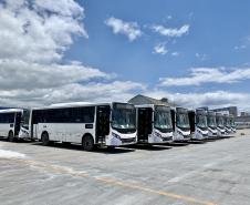 São 155 ônibus em uma única operação. Veículos de transporte coletivo serão levados para os portos de Boma, no Congo, e Luanda, em Angola. A operação é feita no cais público, pela empresa Marcon. 