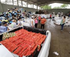 Natal Voluntário faz a alegria de 126 crianças em Paranaguá e Antonina