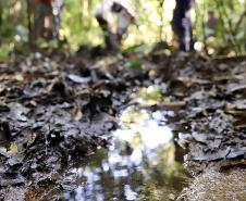 Estiagem comprometeu o abastecimento de comunidades e ilhas. Ação é realizada no âmbito de licenciamento ambiental do Porto de Paranaguá