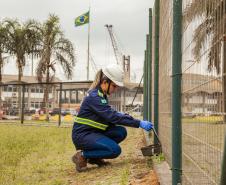 São mais de 20 programas. Além de diretoria específica, com biólogos e engenheiros ambientais, porto conta com uma empresa contratada exclusivamente para as ações de meio ambiente.