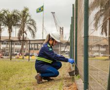 São mais de 20 programas. Além de diretoria específica, com biólogos e engenheiros ambientais, porto conta com uma empresa contratada exclusivamente para as ações de meio ambiente.