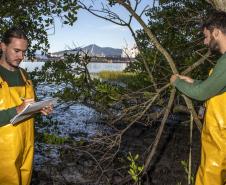 São mais de 20 programas. Além de diretoria específica, com biólogos e engenheiros ambientais, porto conta com uma empresa contratada exclusivamente para as ações de meio ambiente.