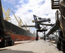 Previsão é movimentar cerca de 6 milhões de toneladas de granéis sólidos. Para isso, objetivo é ter máxima produtividade nos três berços a leste do cais e o do corredor oeste.