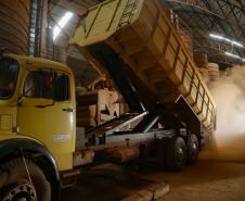 Destaque na série Paraná que Alimenta o Mundo, o grão é o principal produto do agro paranaense. Responde por 20% do Valor Bruto da Produção (VBP) e por 36,8% de tudo que o Estado exportou no ano passado. Estimativa da safra 2020/2021 é colher 20,4 milhões de toneladas da oleaginosa.