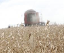 Destaque na série Paraná que Alimenta o Mundo, o grão é o principal produto do agro paranaense. Responde por 20% do Valor Bruto da Produção (VBP) e por 36,8% de tudo que o Estado exportou no ano passado. Estimativa da safra 2020/2021 é colher 20,4 milhões de toneladas da oleaginosa.