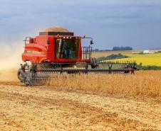 Destaque na série Paraná que Alimenta o Mundo, o grão é o principal produto do agro paranaense. Responde por 20% do Valor Bruto da Produção (VBP) e por 36,8% de tudo que o Estado exportou no ano passado. Estimativa da safra 2020/2021 é colher 20,4 milhões de toneladas da oleaginosa.