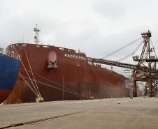 Mais um grande navio graneleiro atraca no Corredor de Exportação do Porto de Paranaguá para receber uma carga recorde de farelo de soja. O Pacific Myra, com 292 metros de comprimento (loa) e 45 metros de largura (boca), atracou no berço 214, no último final de semana, e segue carregando. A embarcação vai levar, para a Holanda, 108.577 mil toneladas do produto. 