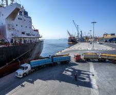 No berço 206 do Porto de Paranaguá, o navio Aurora SB está atracado para descarregar 35.279 toneladas de milho. Importado da Argentina, o cereal, que costuma ser exportado pelos terminais paranaenses, vai abastecer o mercado interno, em especial a indústria de amidos, base para alguns produtos alimentícios humanos.