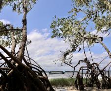 Portos do Paraná reforça compromisso com os Oceanos