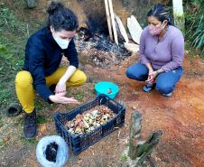 Projeto é gratuito, tem início com ensinamentos sobre compostagem e qualquer morador das comunidades isoladas das áreas de abrangência dos portos paranaenses pode participar