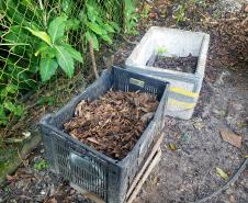 Projeto é gratuito, tem início com ensinamentos sobre compostagem e qualquer morador das comunidades isoladas das áreas de abrangência dos portos paranaenses pode participar