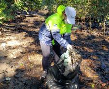 Além do benefício da limpeza desse importante ecossistema, a atividade integra as pessoas das comunidades de forma a despertar a consciência e o engajamento quanto à preservação.