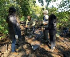 Além do benefício da limpeza desse importante ecossistema, a atividade integra as pessoas das comunidades de forma a despertar a consciência e o engajamento quanto à preservação.