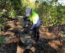 Além do benefício da limpeza desse importante ecossistema, a atividade integra as pessoas das comunidades de forma a despertar a consciência e o engajamento quanto à preservação.