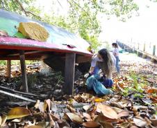 Ação na Baía de Paranaguá faz parte da Semana do Voluntariado do Governo do Estado 