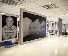 Com exposição de fotos, palestras, roda de conversa, sorteio de brindes e um café da tarde, em parceria com a Unimed Paranaguá e o Instituto Peito Aberto, a empresa pública vai reunir 150 trabalhadoras dos portos no período.