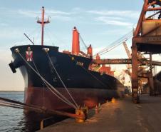 No Corredor de Exportação Leste do Porto de Paranaguá (Corex), duas operações em andamento chamam a atenção por fugirem da rotina do complexo portuário, pelo tipo de produto e modalidade de transporte adotado. A primeira pelo embarque de trigo para navegação interior (cabotagem). Outra, pelo sentido da carga e pela produtividade: 11 mil toneladas de milho de importação foram descarregadas em 24 horas.