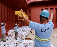 No berço 202 do Porto de Paranaguá, o navio Lady Lilly recebe uma carga inédita de gergelim em sacas. O produto nacional, que segue para exportação, é estivado direto nos cinco porões da embarcação. Em média, cada espaço vai levar cerca de 4 mil toneladas da semente, totalizando um embarque de 20 mil toneladas que têm como destino a Guatemala.