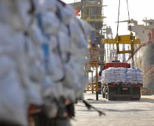 No berço 202 do Porto de Paranaguá, o navio Lady Lilly recebe uma carga inédita de gergelim em sacas. O produto nacional, que segue para exportação, é estivado direto nos cinco porões da embarcação. Em média, cada espaço vai levar cerca de 4 mil toneladas da semente, totalizando um embarque de 20 mil toneladas que têm como destino a Guatemala.