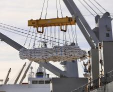 No berço 202 do Porto de Paranaguá, o navio Lady Lilly recebe uma carga inédita de gergelim em sacas. O produto nacional, que segue para exportação, é estivado direto nos cinco porões da embarcação. Em média, cada espaço vai levar cerca de 4 mil toneladas da semente, totalizando um embarque de 20 mil toneladas que têm como destino a Guatemala.