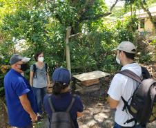 A compostagem controlada não gera o transporte de resíduos orgânicos para aterros sanitários, diminuindo o volume de resíduos que chegam a esses locais.