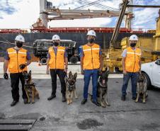 Operação com Cães no Porto - 23/12/2021