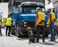 Operação com Cães no Porto - 23/12/2021