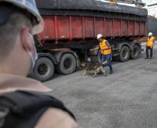 Operação com Cães no Porto - 23/12/2021