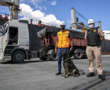 Operação com Cães no Porto - 23/12/2021