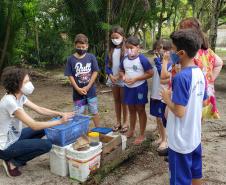 Como educação ambiental, Portos do Paraná implanta composteiras em escolas na Ilha do Mel