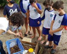 Como educação ambiental, Portos do Paraná implanta composteiras em escolas na Ilha do Mel