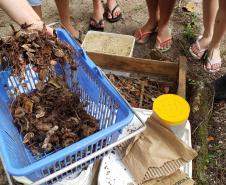 Como educação ambiental, Portos do Paraná implanta composteiras em escolas na Ilha do Mel