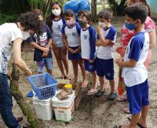 Como educação ambiental, Portos do Paraná implanta composteiras em escolas na Ilha do Mel