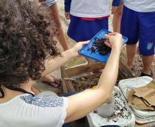 Como educação ambiental, Portos do Paraná implanta composteiras em escolas na Ilha do Mel