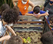 Como educação ambiental, Portos do Paraná implanta composteiras em escolas na Ilha do Mel