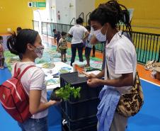 Objetivo é promover interação cada vez maior com a comunidade, levando informações, serviços e educação ambiental para a população local. Empresa pública é parceira na E-Social, ação comandada pela Prefeitura de Paranaguá.