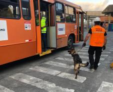 Animais fiscalizam veículos no cais do Porto de Paranaguá, sacolas e mochilas de trabalhadores portuários durante a troca de turno. Ações pontuais tem o objetivo de combater o tráfico internacional de drogas.