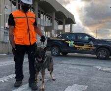 Animais fiscalizam veículos no cais do Porto de Paranaguá, sacolas e mochilas de trabalhadores portuários durante a troca de turno. Ações pontuais tem o objetivo de combater o tráfico internacional de drogas.