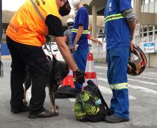 Animais fiscalizam veículos no cais do Porto de Paranaguá, sacolas e mochilas de trabalhadores portuários durante a troca de turno. Ações pontuais tem o objetivo de combater o tráfico internacional de drogas.