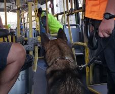 Animais fiscalizam veículos no cais do Porto de Paranaguá, sacolas e mochilas de trabalhadores portuários durante a troca de turno. Ações pontuais tem o objetivo de combater o tráfico internacional de drogas.