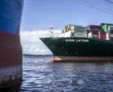 Nos cinco primeiros meses, exportações de carga geral pelo Paraná aumentaram 7%