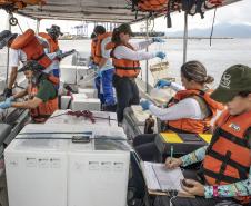 É da empresa pública o projeto Água nas Ilhas, que atende comunidades que estão na área de abrangência dos portos paranaenses. Outros cinco programas ambientais ativos, dos mais de 20 existentes, são de monitoramento do ecossistema aquático.