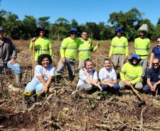 Portos do Paraná inicia plantio de mudas de árvores em áreas de preservação degradadas