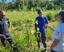 Portos do Paraná inicia plantio de mudas de árvores em áreas de preservação degradadas