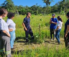 Portos do Paraná inicia plantio de mudas de árvores em áreas de preservação degradadas