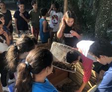 Portos do Paraná instala novas composteiras em escolas da Ilha do Mel